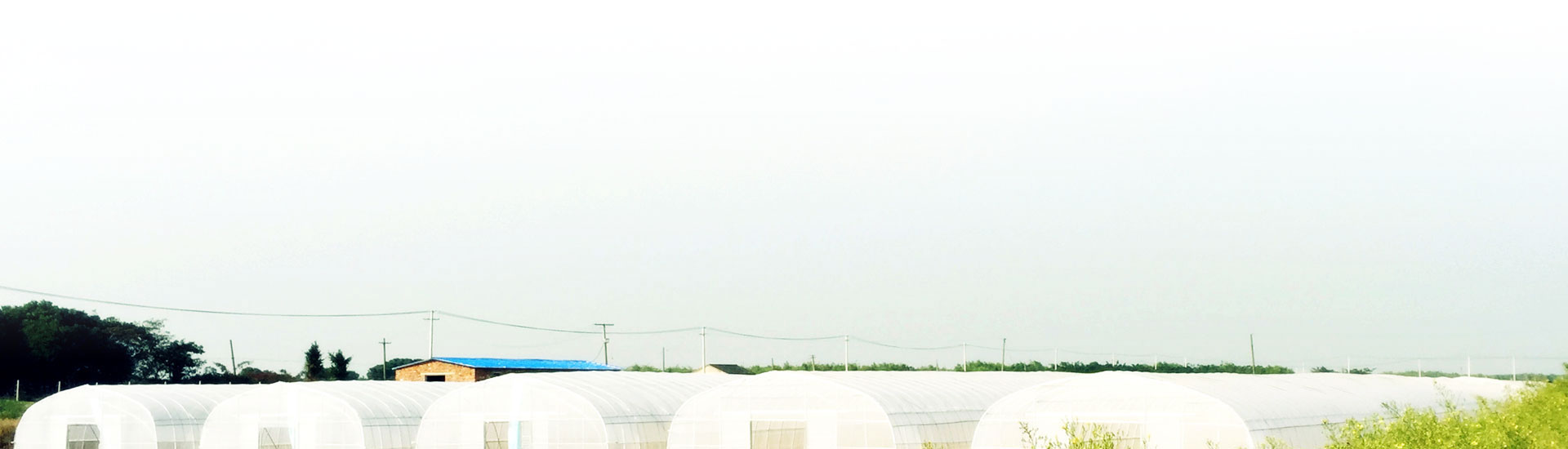 泰安市民樂機(jī)械制造有限公司